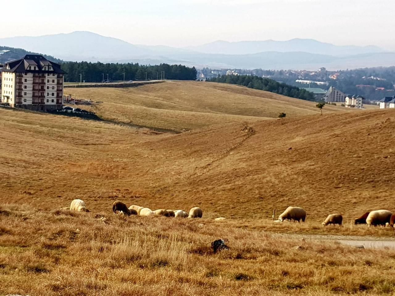 Sunset Zlatibor Hills Bed and Breakfast Esterno foto